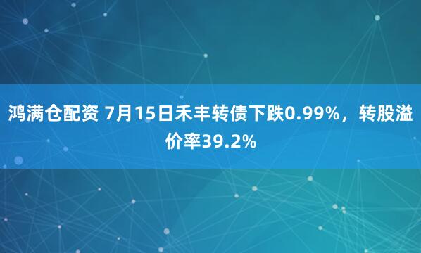 鸿满仓配资 7月15日禾丰转债下跌0.99%，转股溢价率39.2%